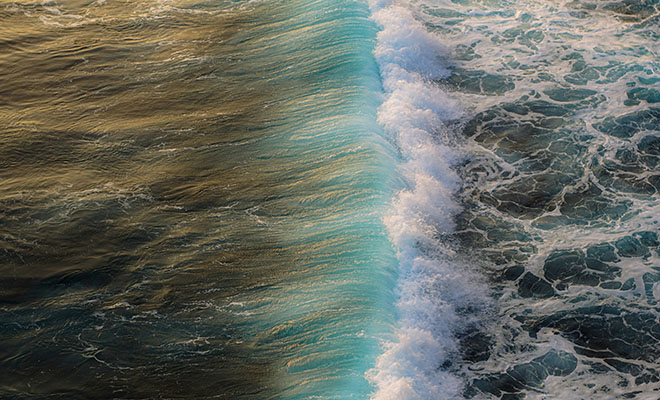 Фото: Unsplash