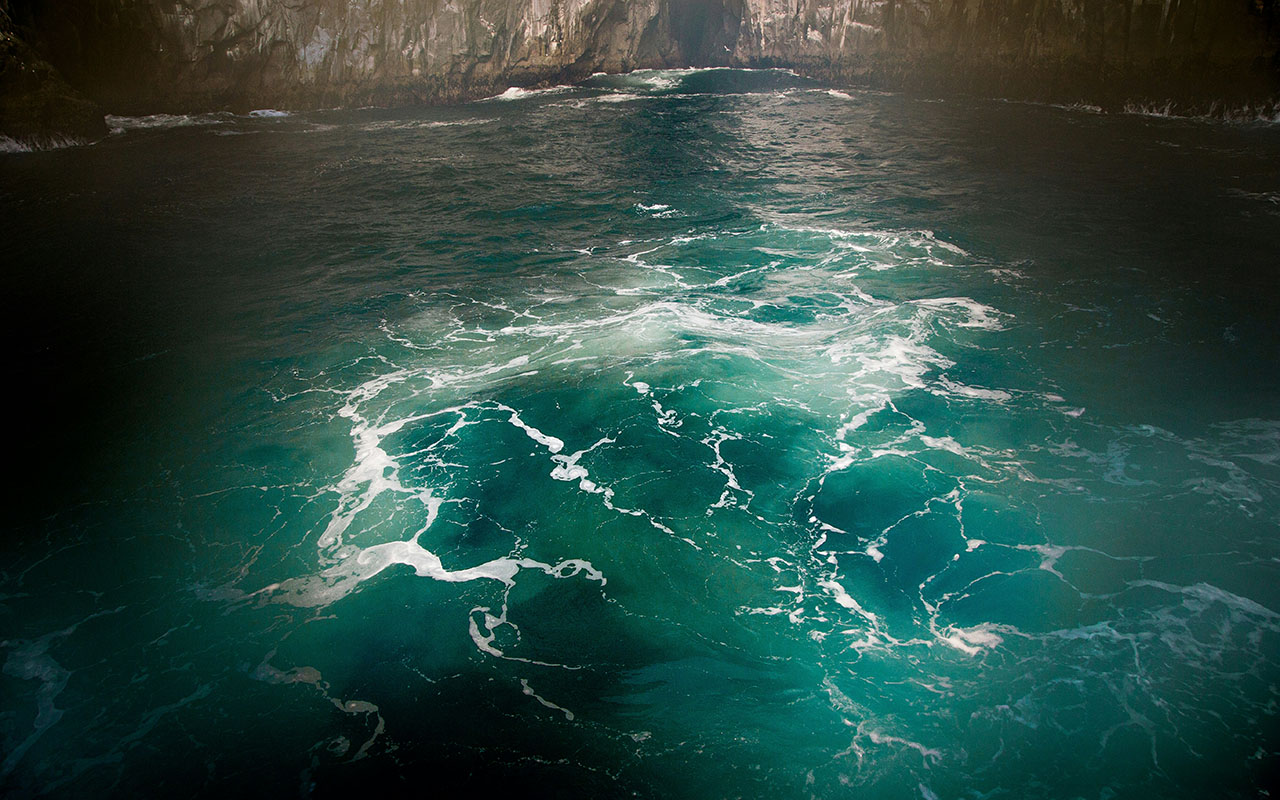 Фото: Unsplash